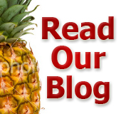 Read Our Blog